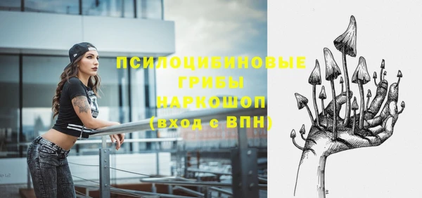 ECSTASY Новозыбков