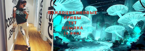 соль ск Аркадак
