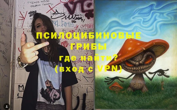 прущая мука Арсеньев